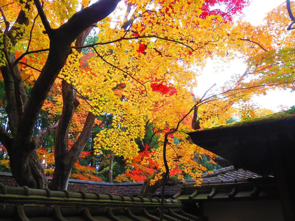 Murasakino Guesthouse Kyoto Buitenkant foto