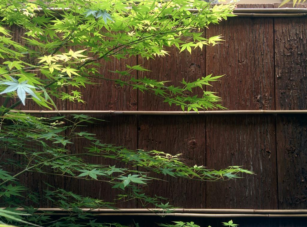 Murasakino Guesthouse Kyoto Buitenkant foto